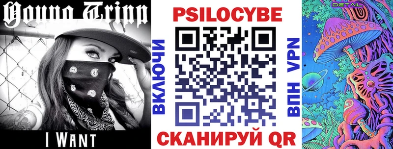 KRAKEN рабочий сайт  Мценск  Галлюциногенные грибы MAGIC MUSHROOMS  сколько стоит 